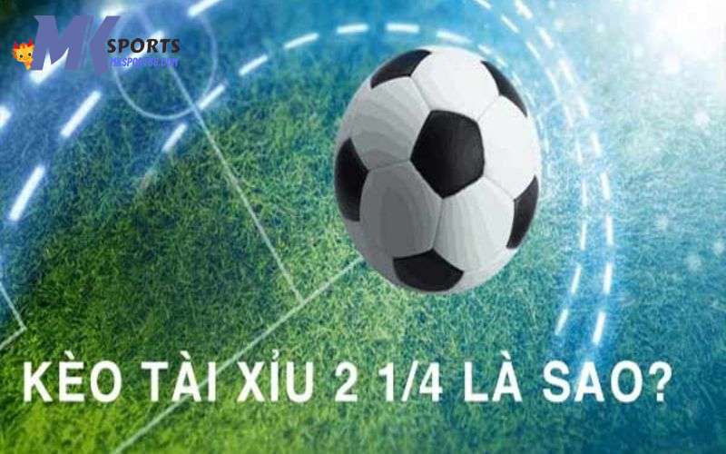 Giới thiệu về soi kèo tài xỉu 2 1/4 tại MKsports